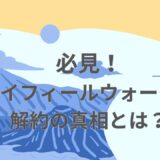 必見！ネイフィールウォーター解約の真相とは？