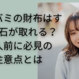 ハシバミの財布はすぐに石取れる？購入前に必見の注意点とは