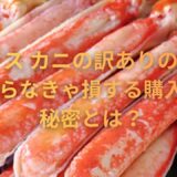 ディノス カニの訳ありの真相！知らなきゃ損する購入の秘密とは？