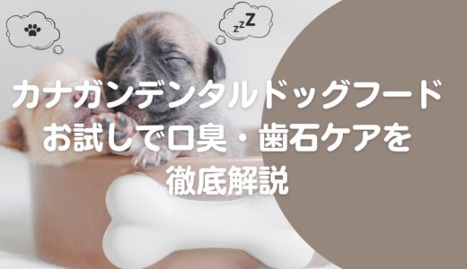 カナガンデンタルドッグフードのお試しで口臭・歯石ケアを徹底解説