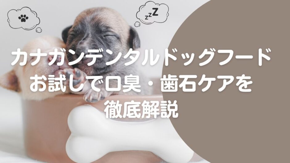 カナガンデンタルドッグフード