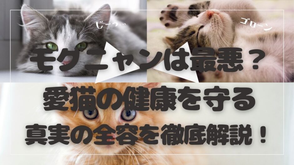 モグニャン 最悪